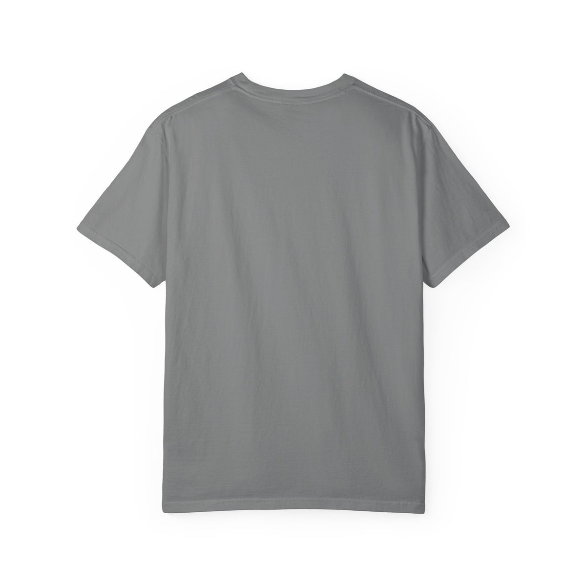 Dreaming of Chaos heavyweight tee — grey, back view