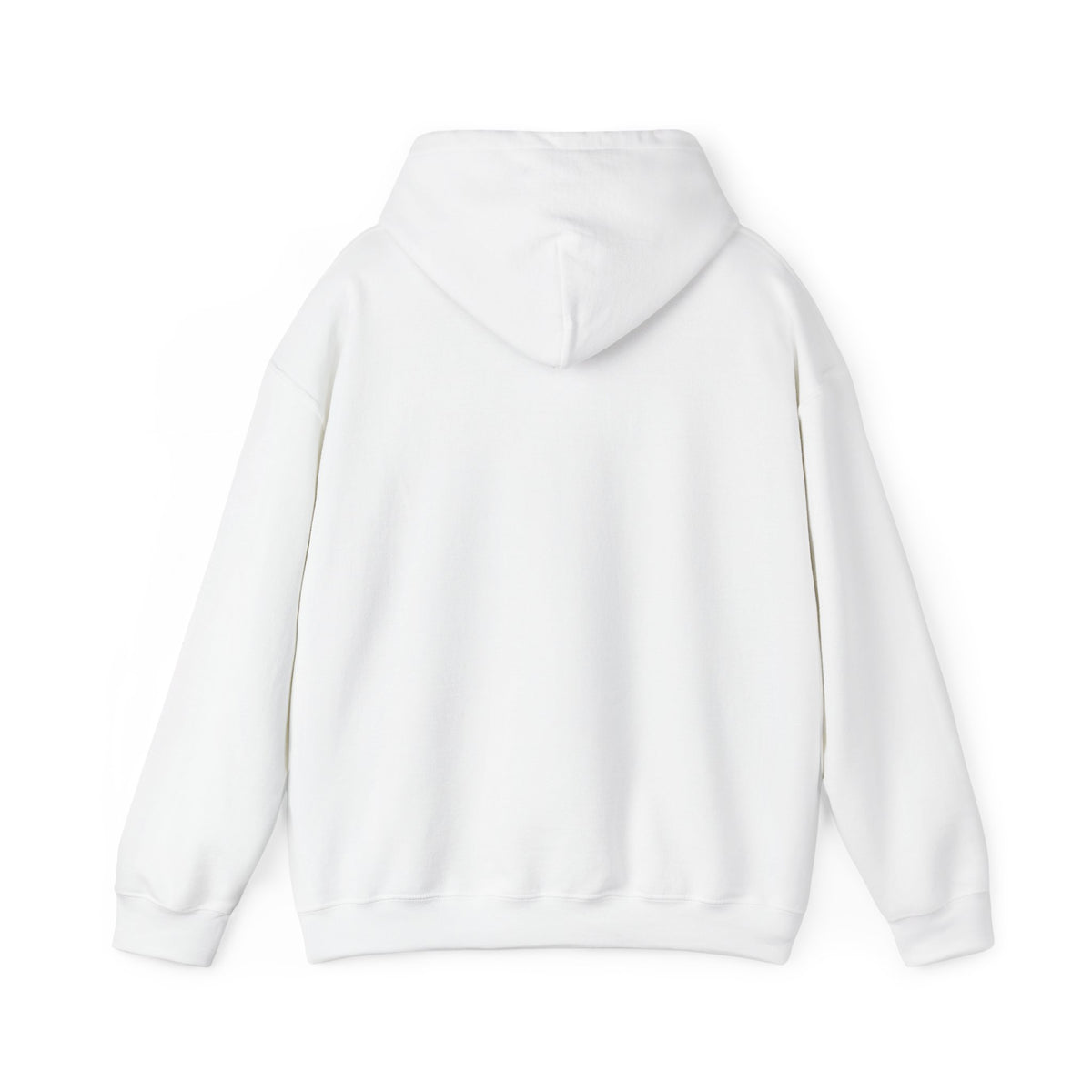 Dreaming of Chaos hoodie — white, back view