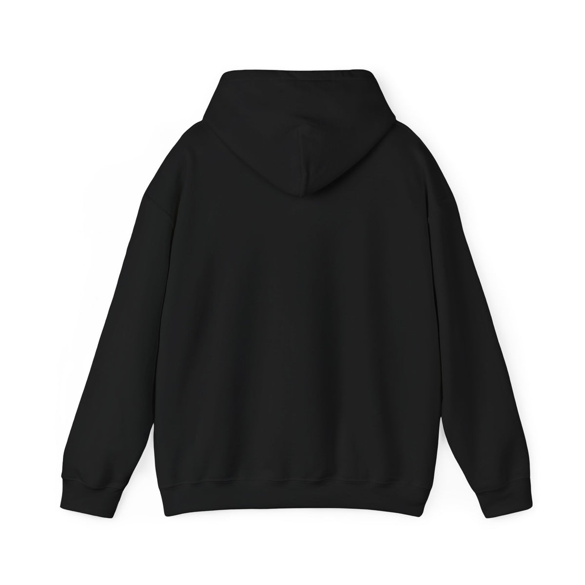 Dreaming of Chaos hoodie — black, back view