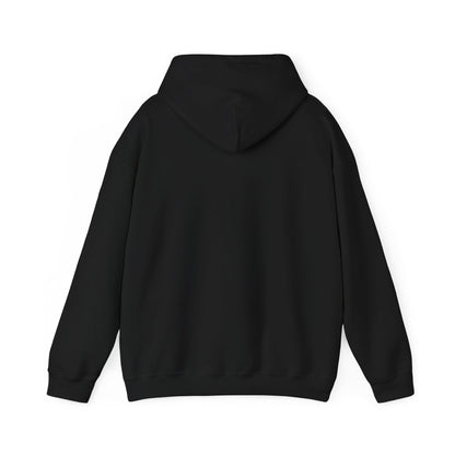 Dreaming of Chaos hoodie — black, back view